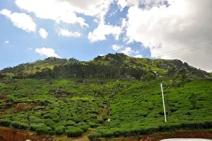 South India Tourism Stampe: Munnar