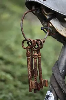 Outdoor Photography Ideas Stampe: Old rusty keys on a key ring