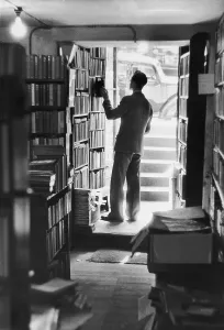 Vintage Book Collection Stampe: Avid Reader