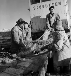 Vintage Boat Photography Stampe: Codfish Trawling