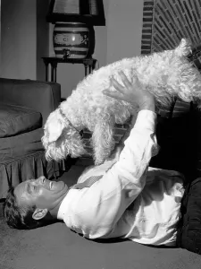 Black And White Dog Pictures Stampe: Compton And His Dog