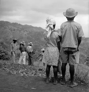Caribbean Island Life Stampe: What Is Going On ?