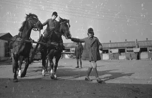 WW2 Women In Uniform Stampe: Horse Training