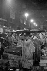 England Black And White Photography Stampe: Loading Halibut