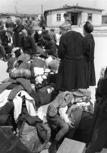 World War II Evacuation Stampe: Marching Orders