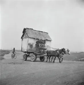 Vintage Road Transport Stampe: Wait Up