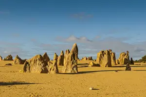Australian Desert Landscape Stampe: The Pinnacles limestone formations, Nambung National Park, Western Australia