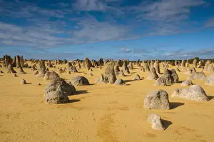 Desert Landscape Photography Tour Stampe: The Pinnacles limestone formations, Nambung National Park, Western Australia