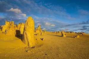 Australian Desert Landscape Stampe: The Pinnacles limestone formations, Nambung National Park, Western Australia