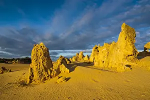 Desert Landscape Images Stampe: The Pinnacles limestone formations, Nambung National Park, Western Australia