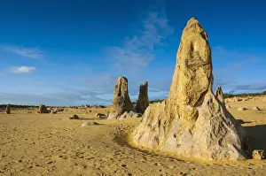 Australian Desert Landscape Stampe: The Pinnacles limestone formations, Nambung National Park, Western Australia
