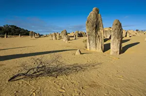 Desert Landscape Photography AUSTRALIA Stampe: The Pinnacles limestone formations, Nambung National Park, Western Australia