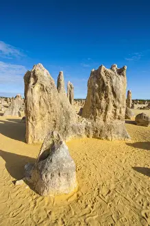 Australian Desert Landscape Stampe: The Pinnacles limestone formations, Nambung National Park, Western Australia