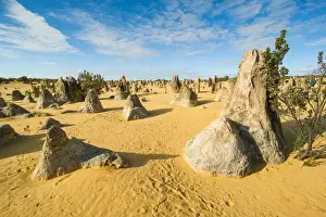 Australian Desert Scenery Stampe: The Pinnacles limestone formations, Nambung National Park, Western Australia