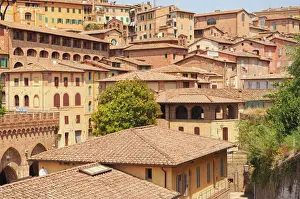 Siena Rooftops Stampe: Rooftops of Siena