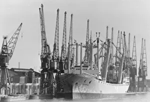 Stampe di 12 febbraio 1980: Una scena dai Royal Albert Docks durante il conflitto industriale. (Foto di Chris Ball/Evening Standard/Getty Images) Immagini datate 1980: Darsena Reale Albert