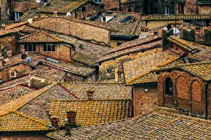 Siena Rooftops Stampe: Siena rooftops