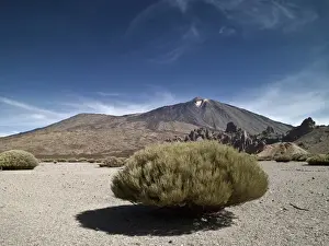 Tenerife Volcano Landscape Stampe: Volcano