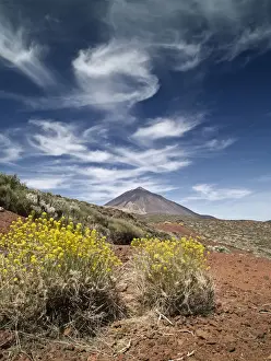 El Teide National Park Stampe: Volcano in spring