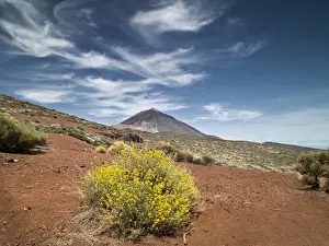 Tenerife Volcano Landscape Stampe: Volcano in springtime