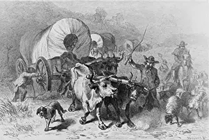 American Pioneer Life Stampe: Wagon Train