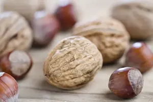 Studio Shot Of Nuts Stampe: Walnuts and hazelnuts