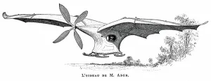 French Aviation Pioneer Stampe: Clement Ader's flying bird Eole (Aole)