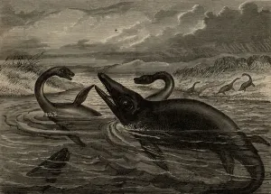 Ancient Sea Creatures Stampe: Reconstruction of Pleisiosaurus and Ichthyosaurus