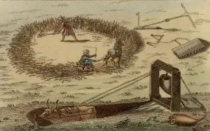 Farm Animal Illustration Stampe: Threshing corn using a horse pulling a sledge