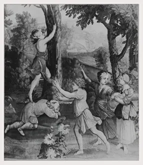 Boy Climbing Tree Stampe: Boy climbing tree