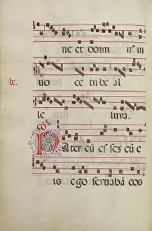 Italian Renaissance Manuscripts Stampe: Decorated Initial P