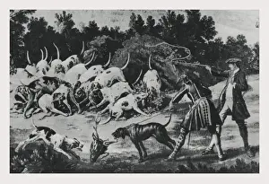 Wild Boar Hunt Stampe: quarry