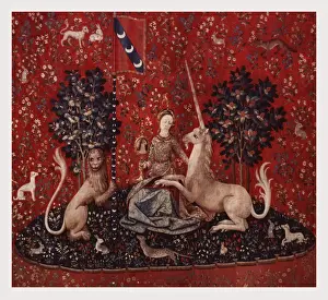 Medieval Tapestry Stampe: Sight