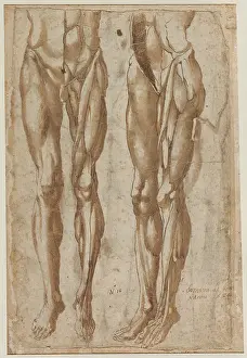 Stampa con cornice : Due Studi Flayato Uomo recto Studio Torso Squartato