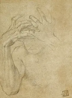 Agnolo Bronzino Paintings Stampe: Study of Jealousy