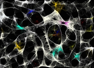 Digital Artwork Background Stampe: Abstract wavy lines pattern