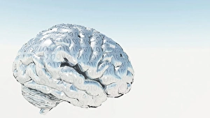 Human Nervous System Illustration Stampe: Binary Brain. 3D rendered