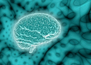 Biomedical Illustrations Of The Brain Stampe: Brain on psychedelic background