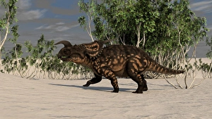 Cretaceous Era Animals Stampe: Brown Einiosaurus in a desert environment