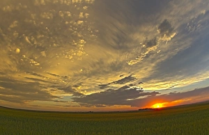 Sunset Over Farmland Stampe: Cloudscape at sunset, Alberta, Canada