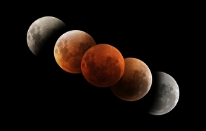 Australian Night Sky Photography Stampe: Composite image of lunar eclipse