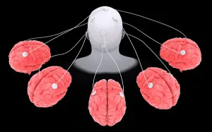 Central Nervous System Anatomy Stampe: Conceptual image of multi-brain processing