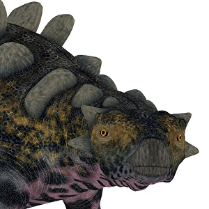 Cretaceous Period Creatures Stampe: Crichtonsaurus dinosaur head