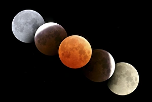 Full Moon Photography Stampe: Digital composite of total lunar eclipse