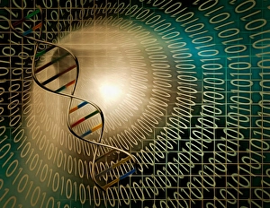 Molecular Structure Of DNA Stampe: DNA chain inside tunnel of binary code