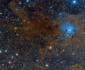 Stellar Evolution Process Stampe: The Iris Nebula in Cepheus