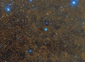 Cepheus Constellation Stampe: The Iris Nebula in Cepheus