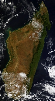 Tropical Rainforest Images Stampe: Madagascar