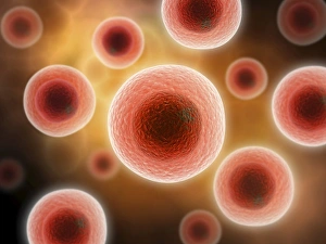 Biomedical Illustrations Stampe: Microscopic view of cell