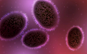 Smallpox Virus Stampe: Microscopic view of samllpox